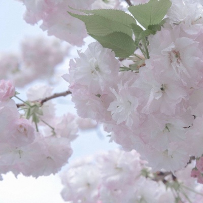 郊区福瑞交流群